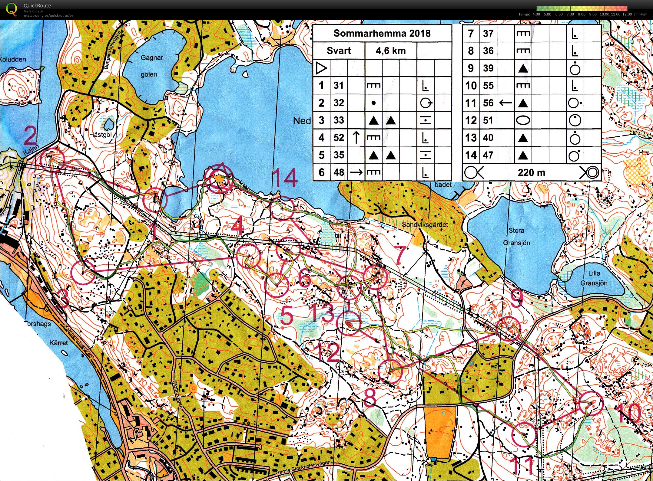 MSI Sommarhemmahos (2018-06-13)