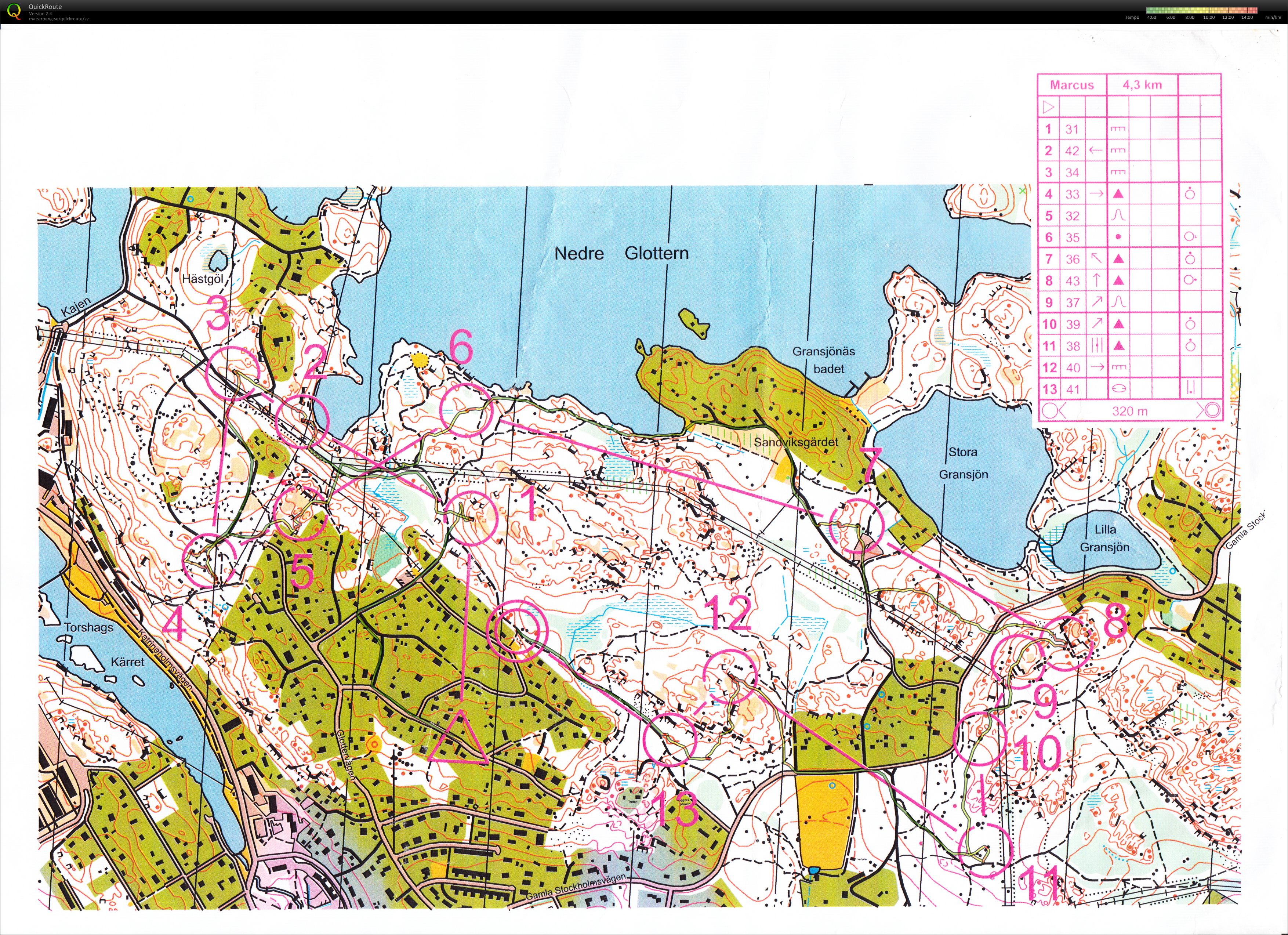 MSI Natt-cup (2013-01-09)