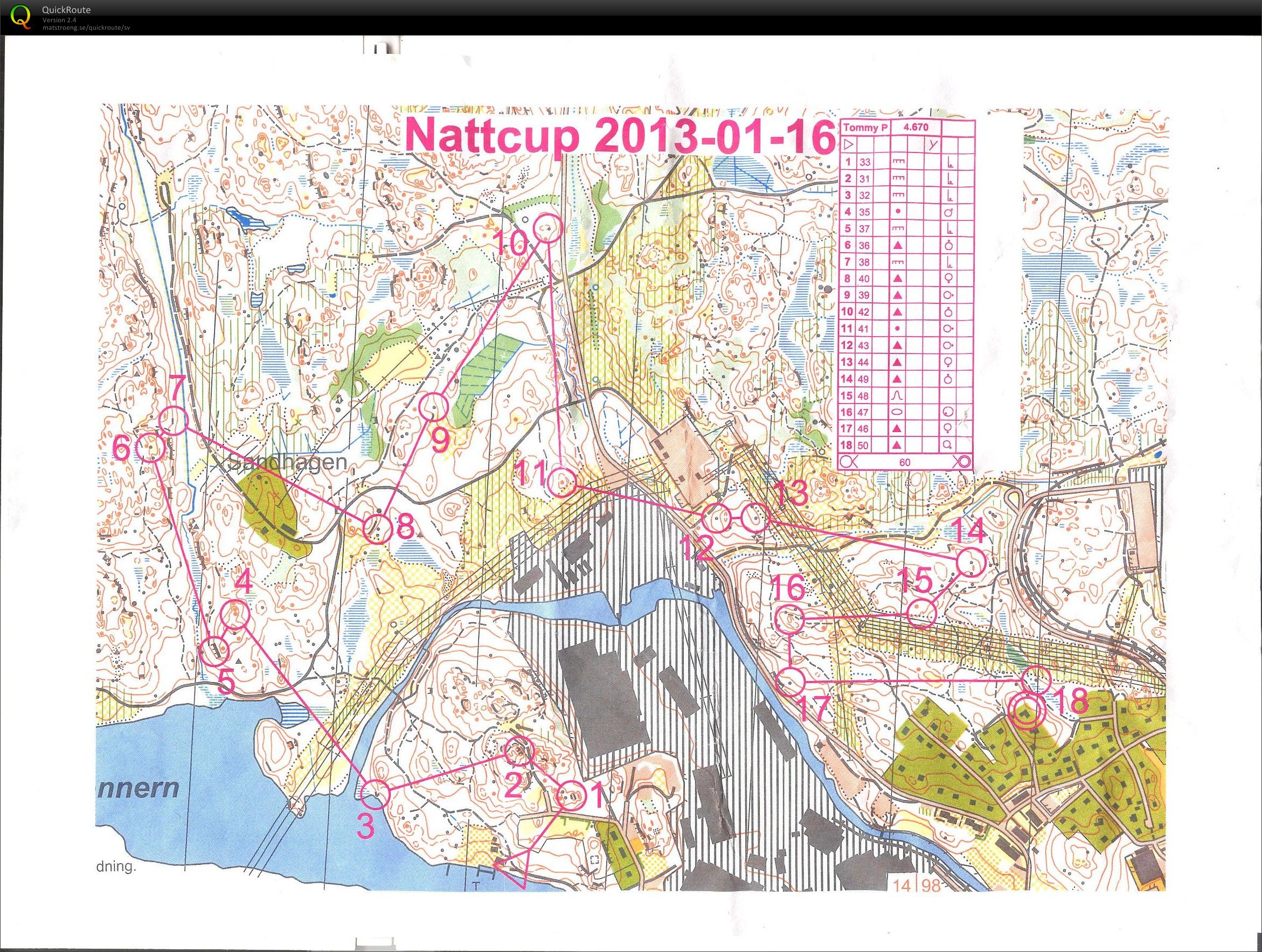 Nattcup hos Peter F (16/01/2013)