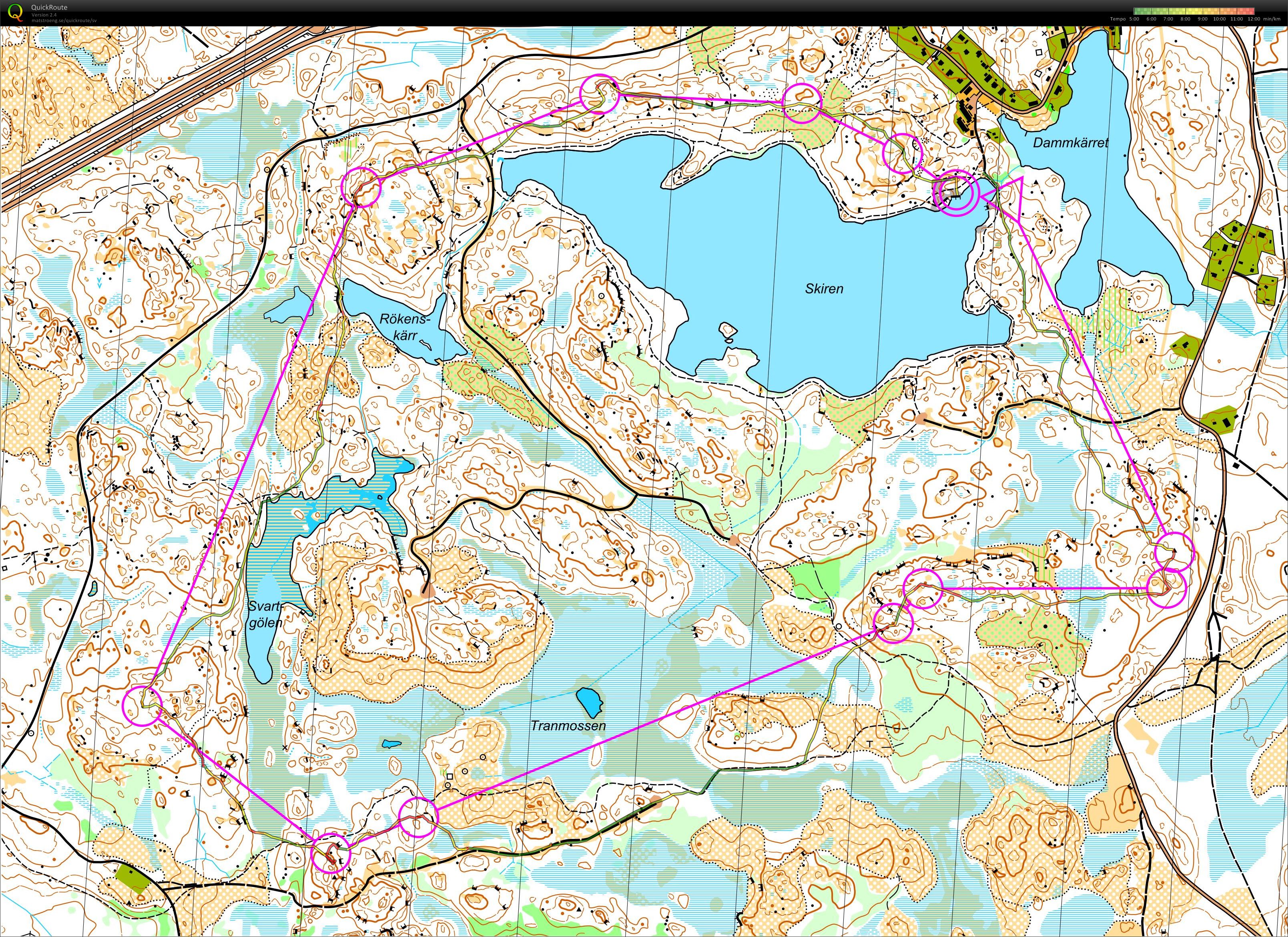 Träning skiren (08/09/2019)